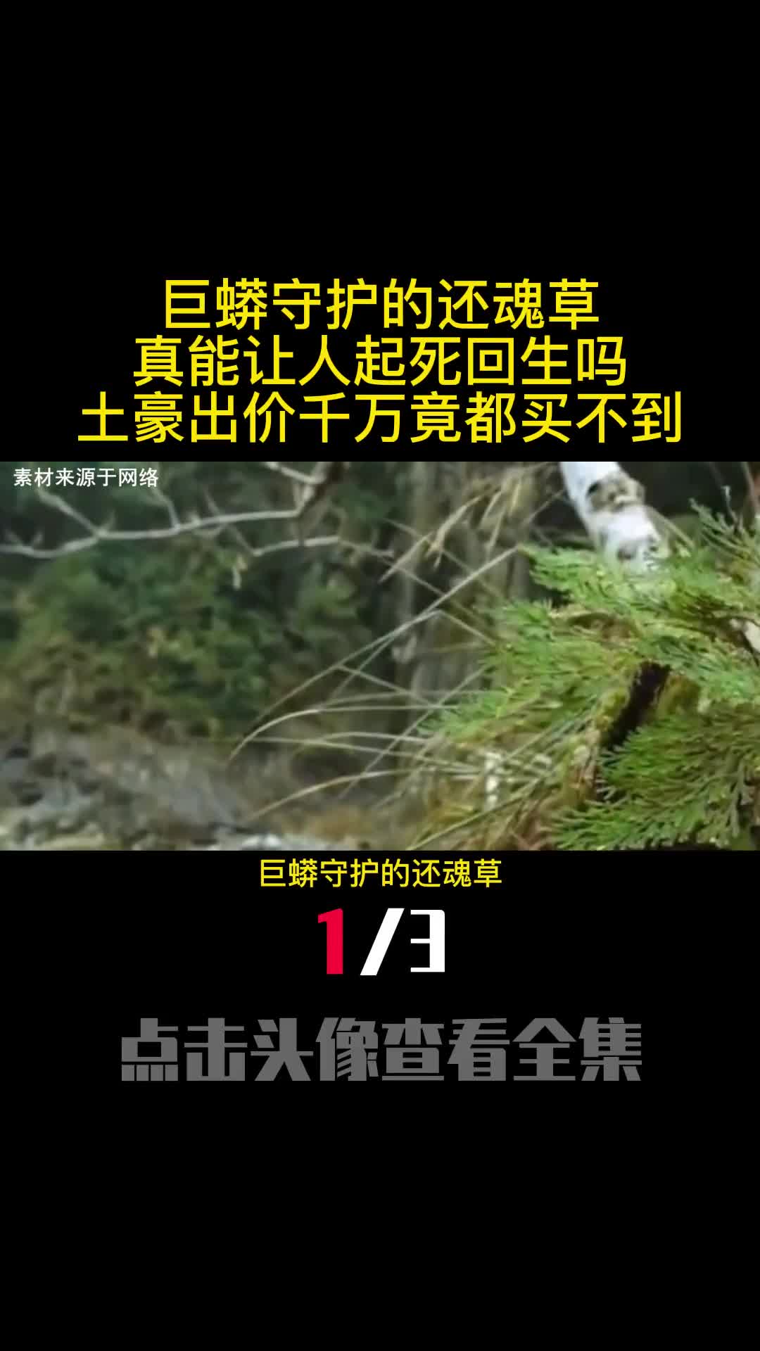 巨蟒守护的还魂草真能让人起死回生吗土豪出价千万竟都买不到1
