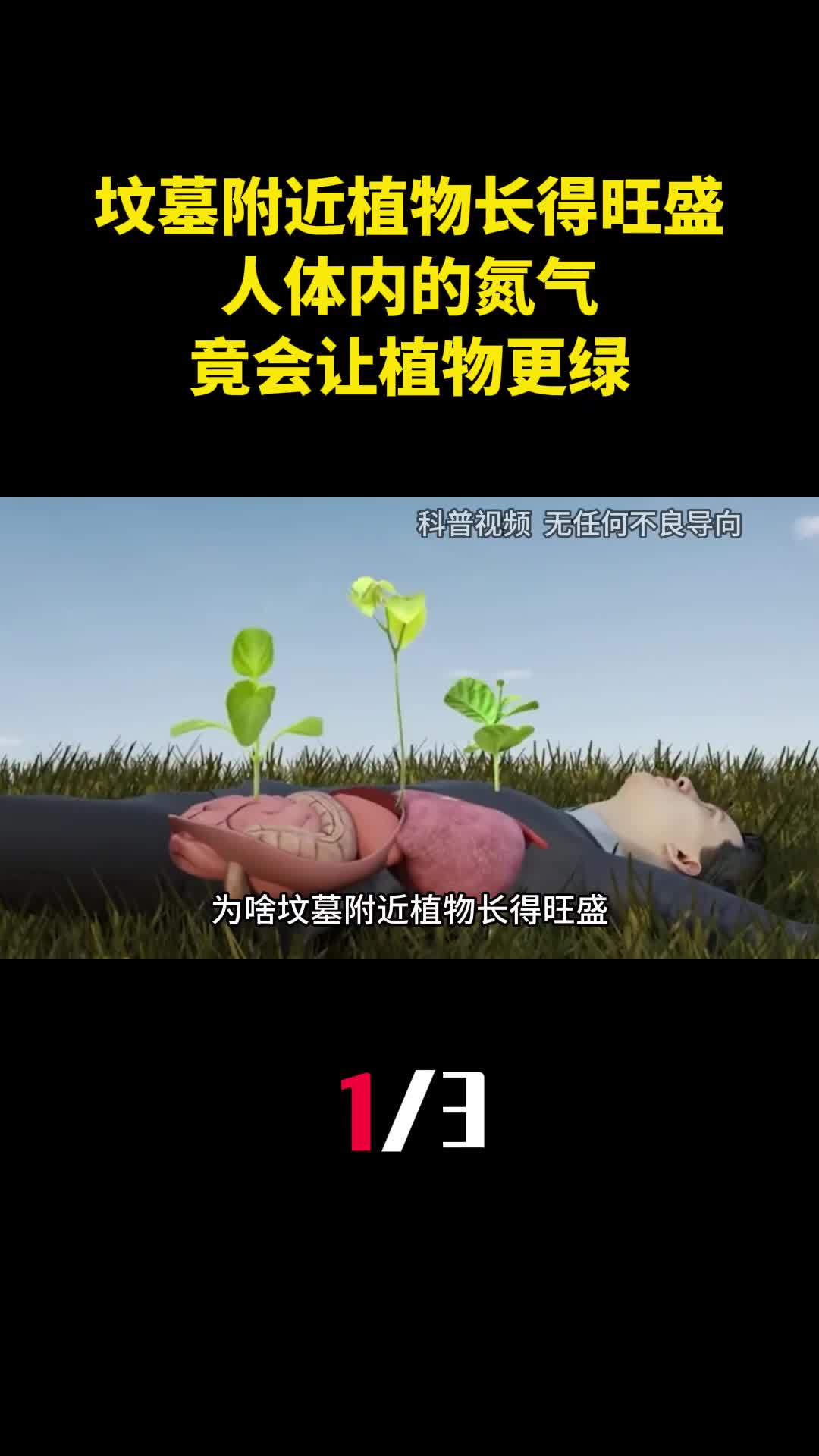 为啥坟墓附近植物长得旺盛人体内的氮气竟会让植物更绿1