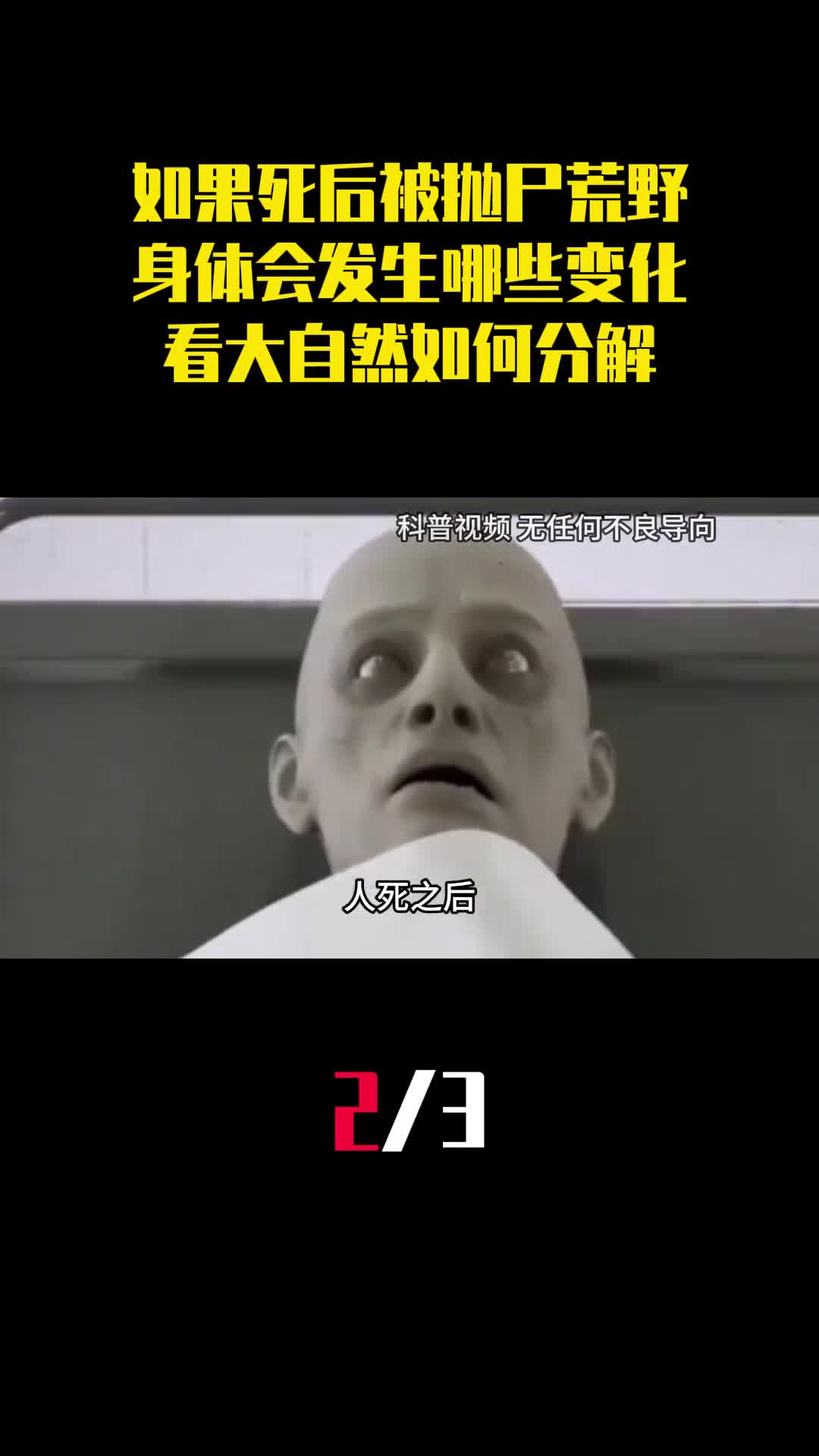 如果死后被抛尸荒野身体会发生哪些变化看大自然如何分解2