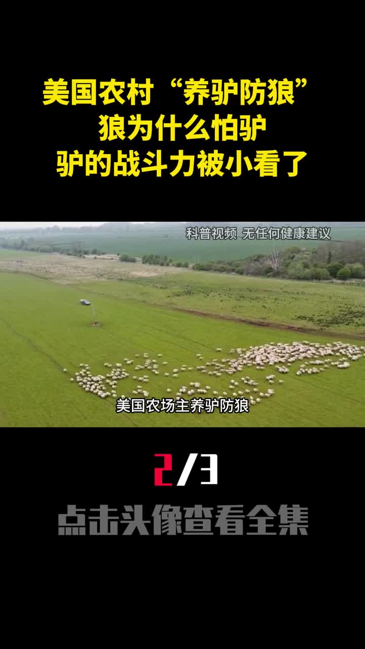 美国农村养驴防狼狼为什么怕驴驴的战斗力被小看了2