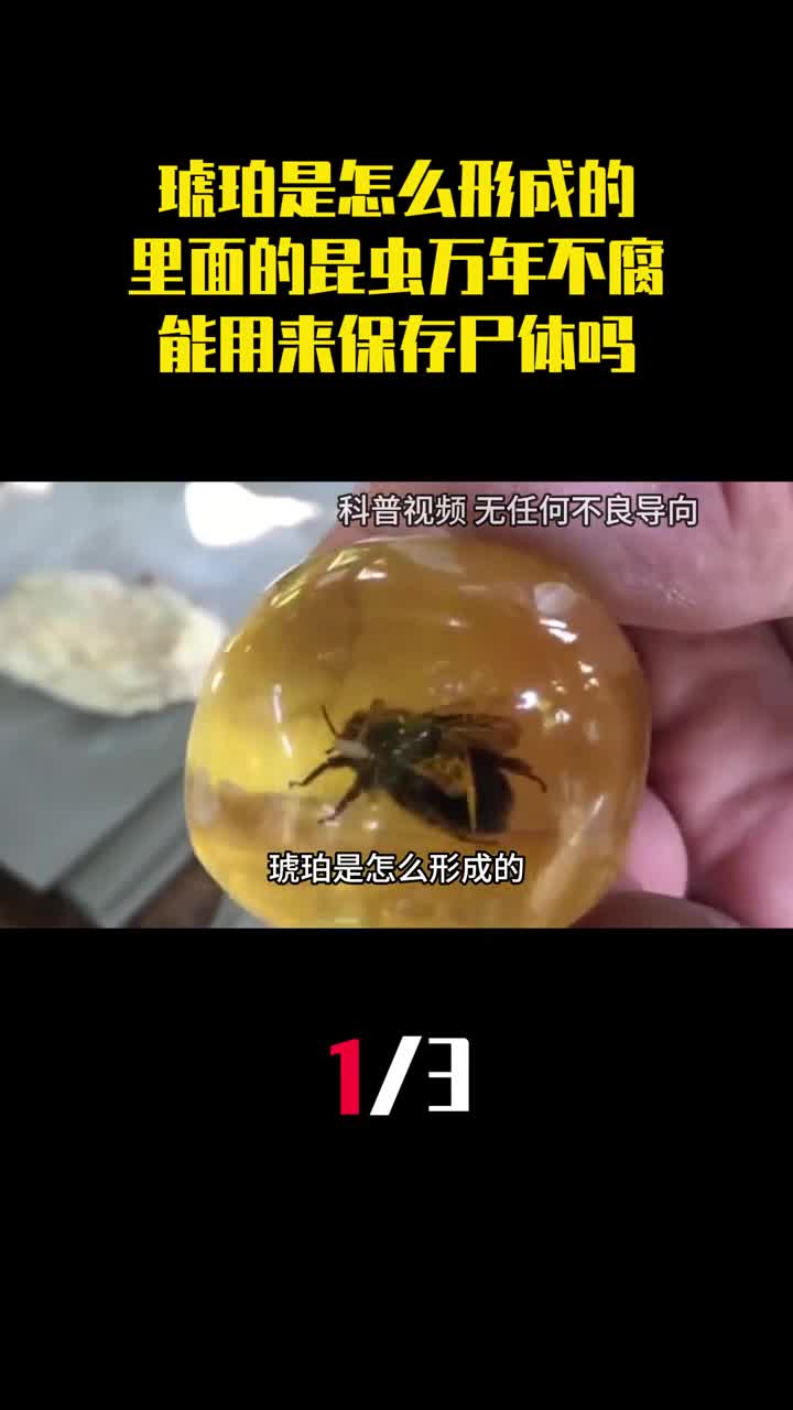 琥珀是怎么形成的里面的昆虫万年不腐能用来保存尸体吗1