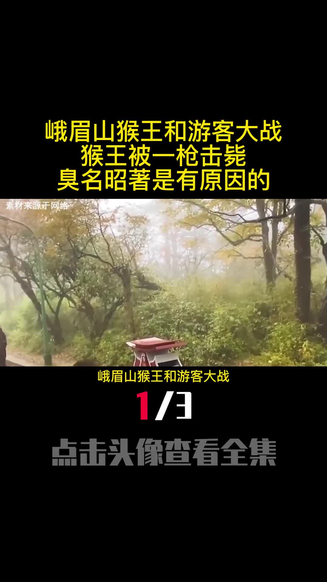 峨眉山猴王和游客大战猴王被一枪击毙臭名昭著是有原因的1