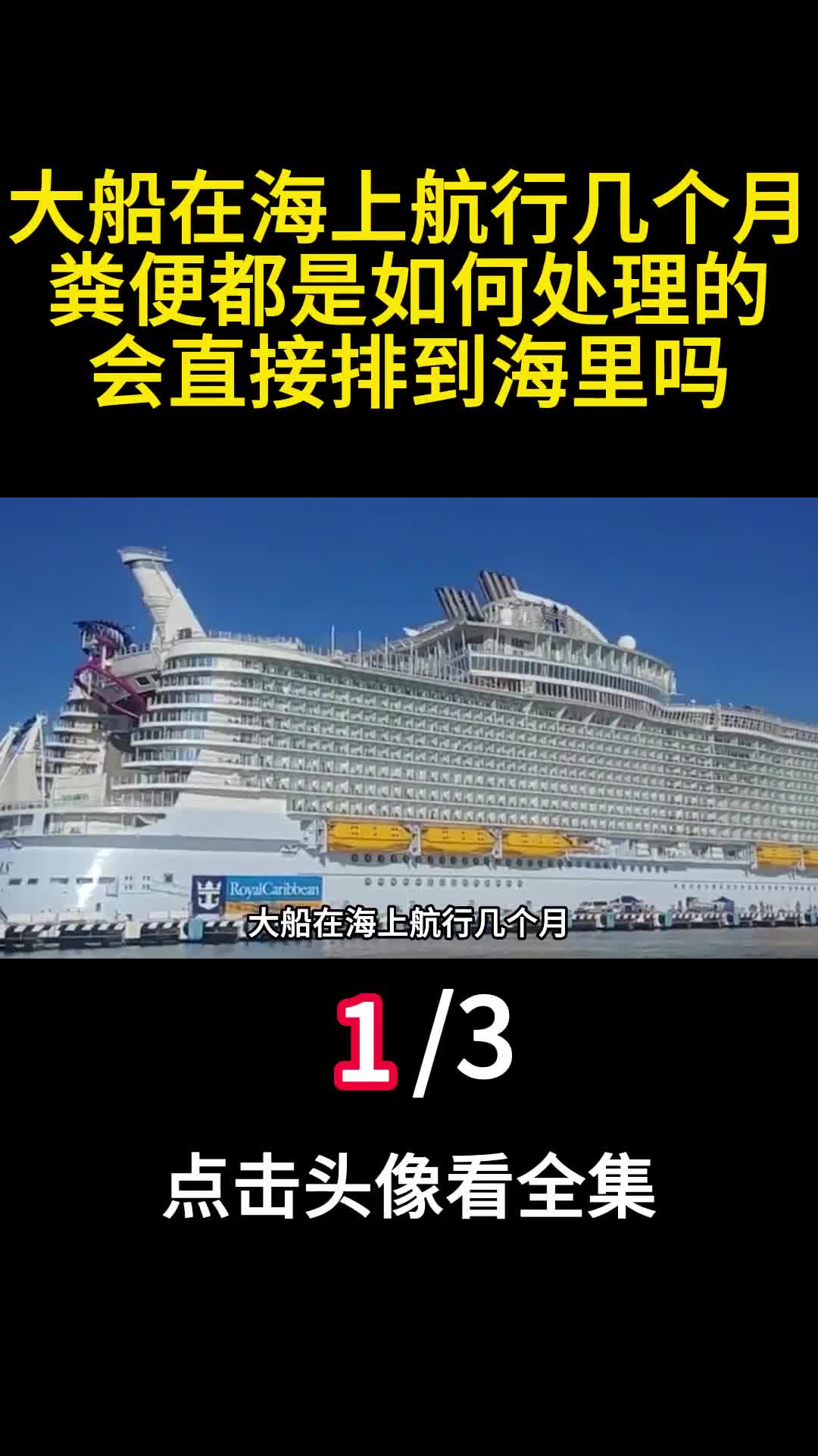 大船在海上航行几个月粪便都是如何处理的会直接排到海里吗1