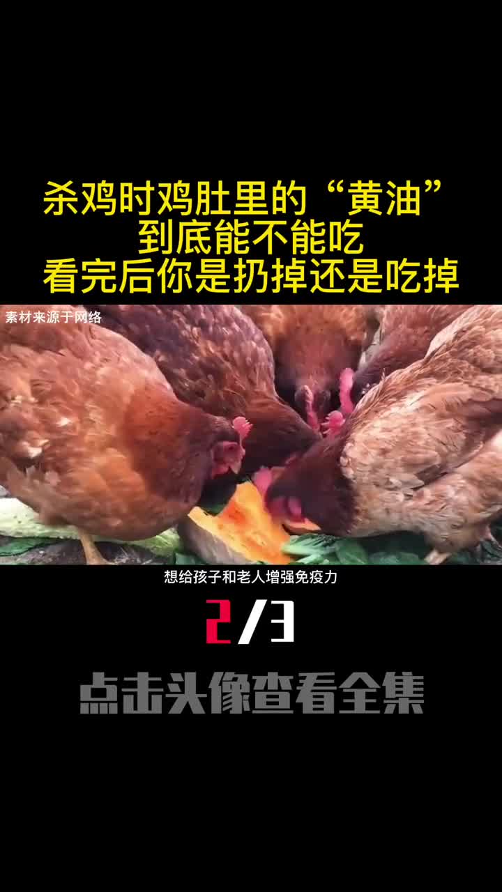 杀鸡时鸡肚里的黄油到底能不能吃看完后你是扔掉还是吃掉2