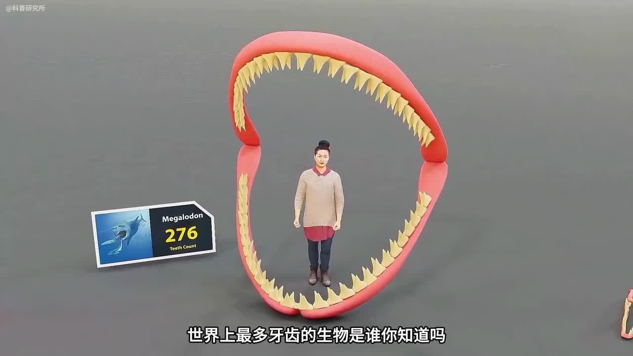 牙齿的数量大对比这个生物居然有3000颗牙齿