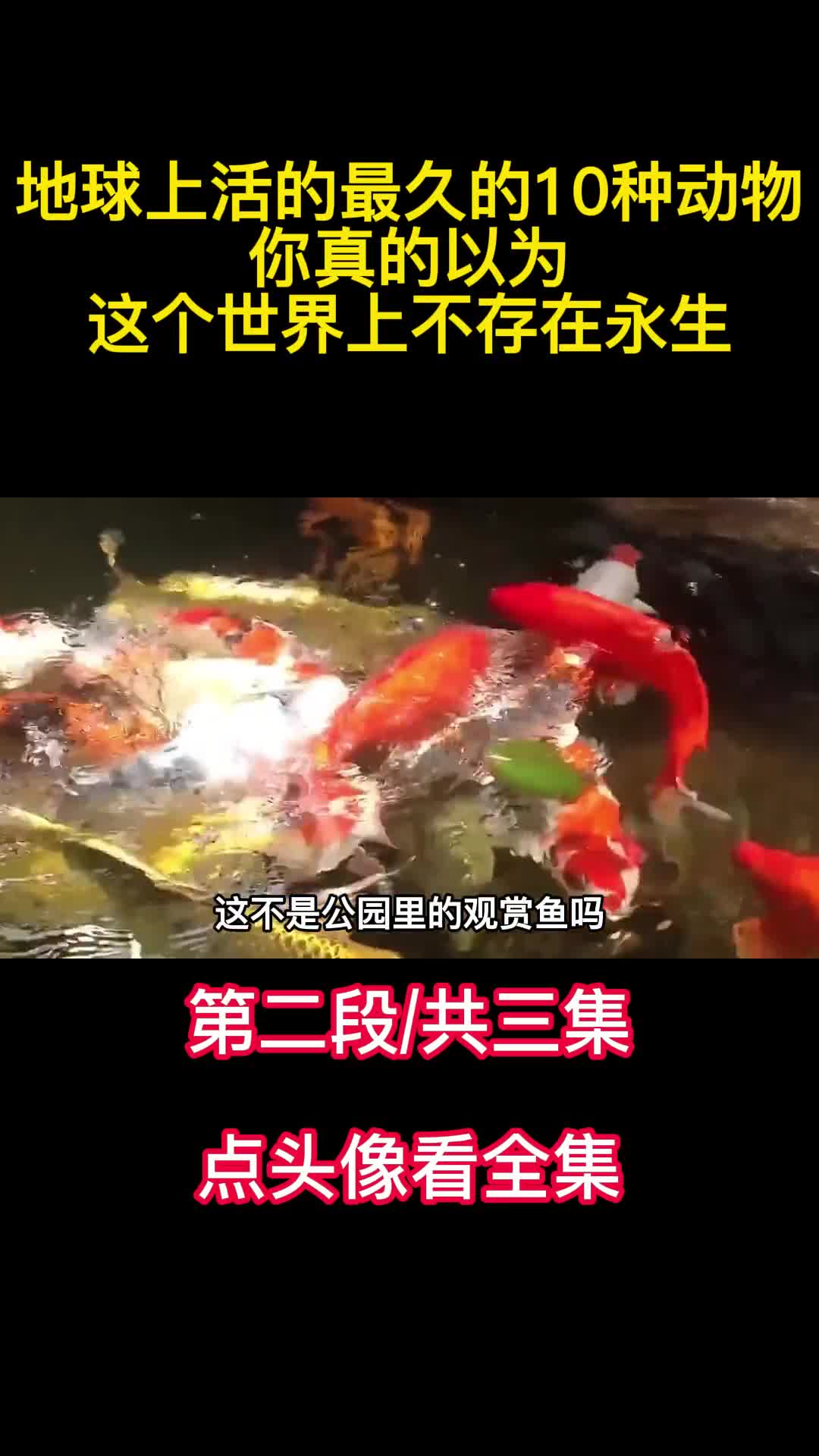 地球上活的最久的10种动物你真的以为这个世界上不存在永生2