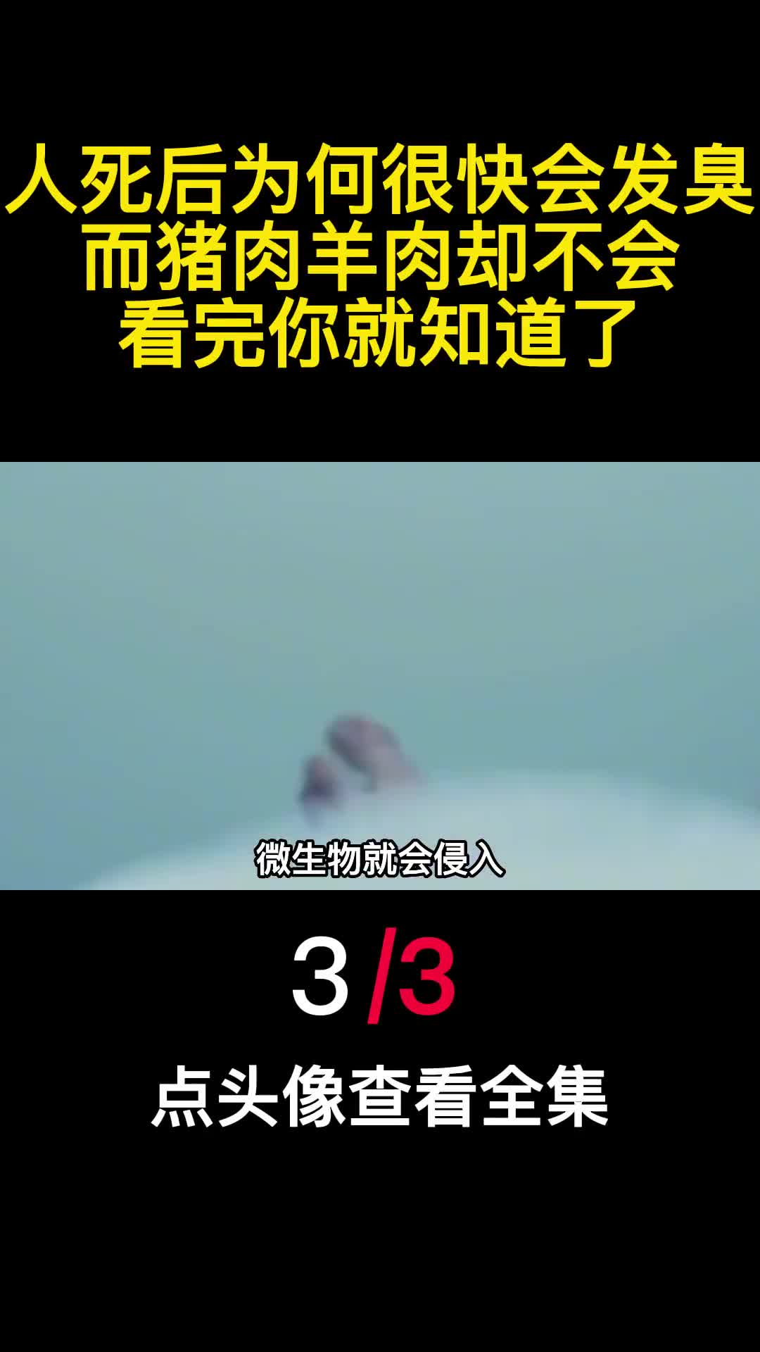 人死后为何很快会发臭而猪肉羊肉却不会看完你就知道了3