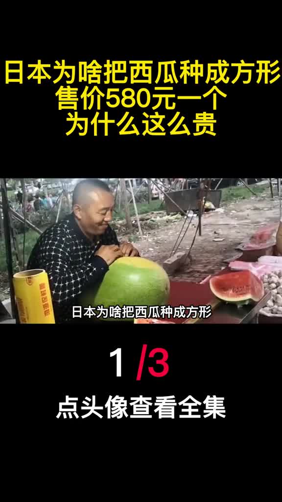 日本为啥把西瓜种成方形售价580元一个为什么这么贵1