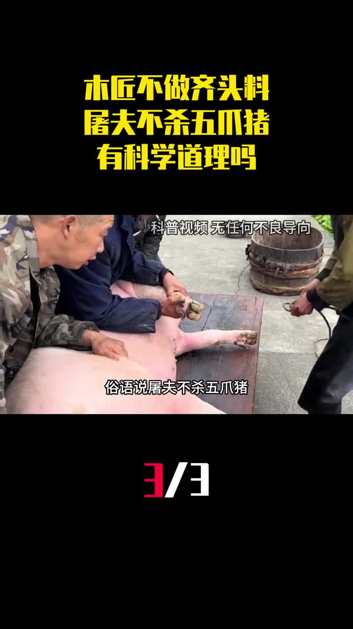 木匠不做齐头料屠夫不杀五爪猪是啥意思有科学道理吗3