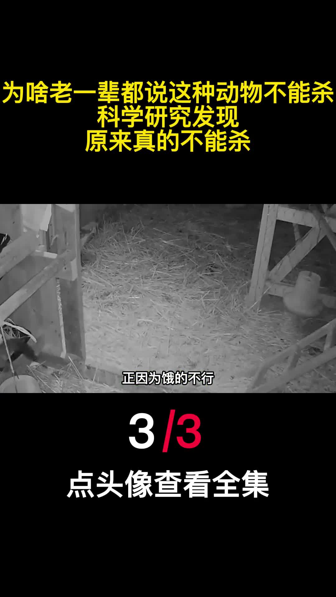 为啥老一辈都说这种动物不能杀科学研究发现原来真的不能杀3