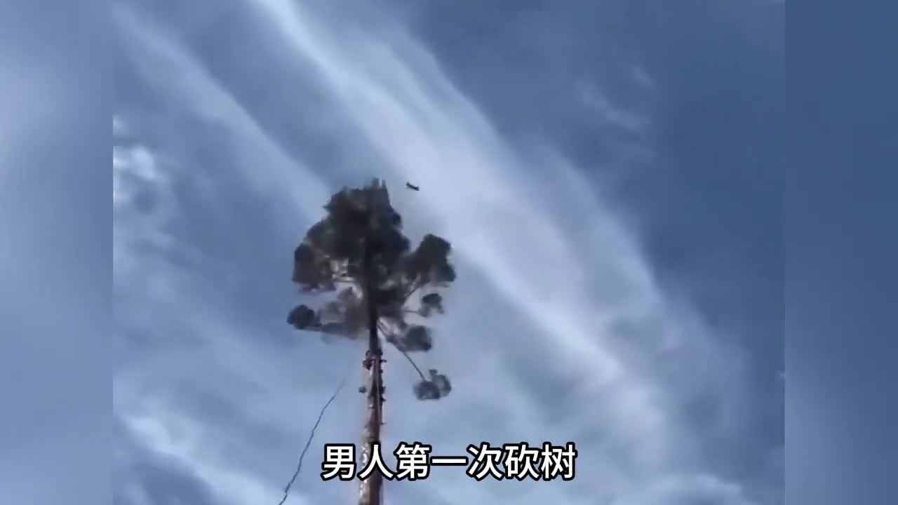 男人第一次砍树却不小心破坏了松鼠的家