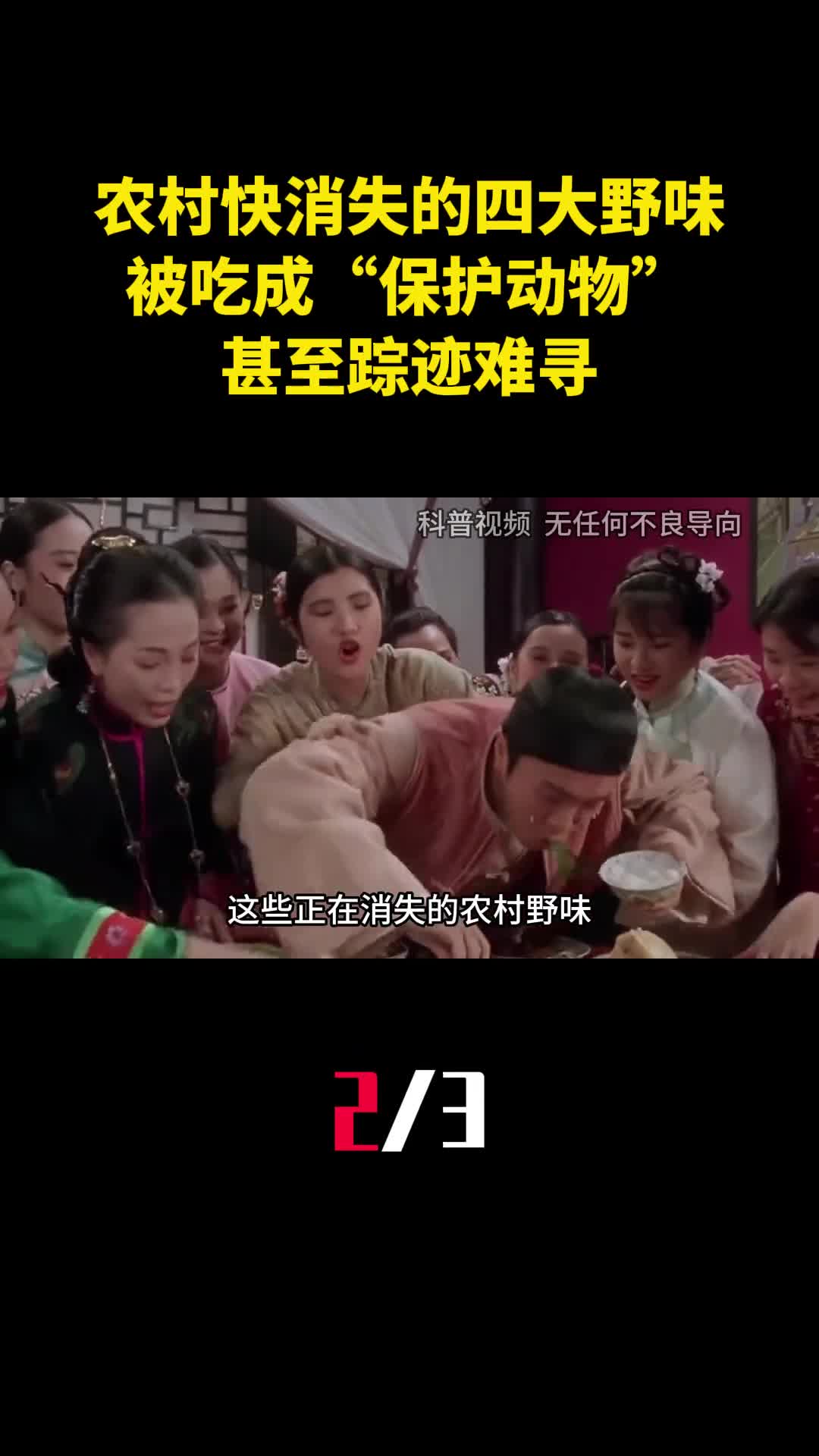 农村慢慢消失的四大野味被吃成保护动物甚至踪迹难寻2