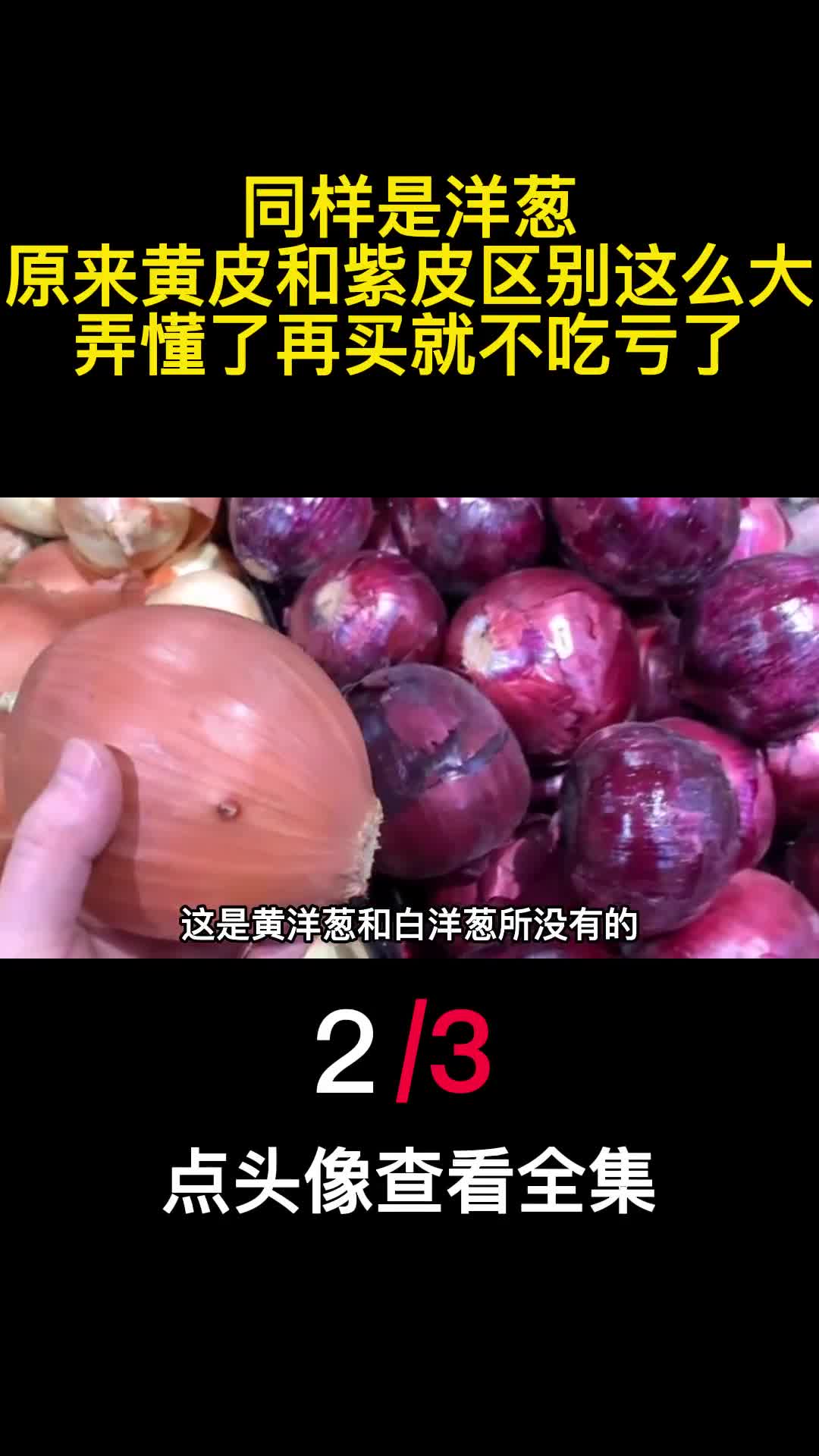 同样是洋葱原来黄皮和紫皮区别这么大弄懂了再买就不吃亏了2