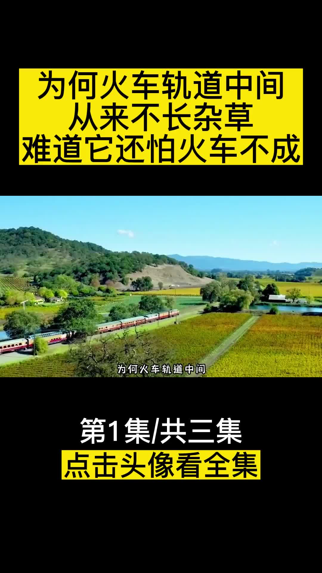 为何在火车轨道中间从来不长杂草难道它还怕火车不成