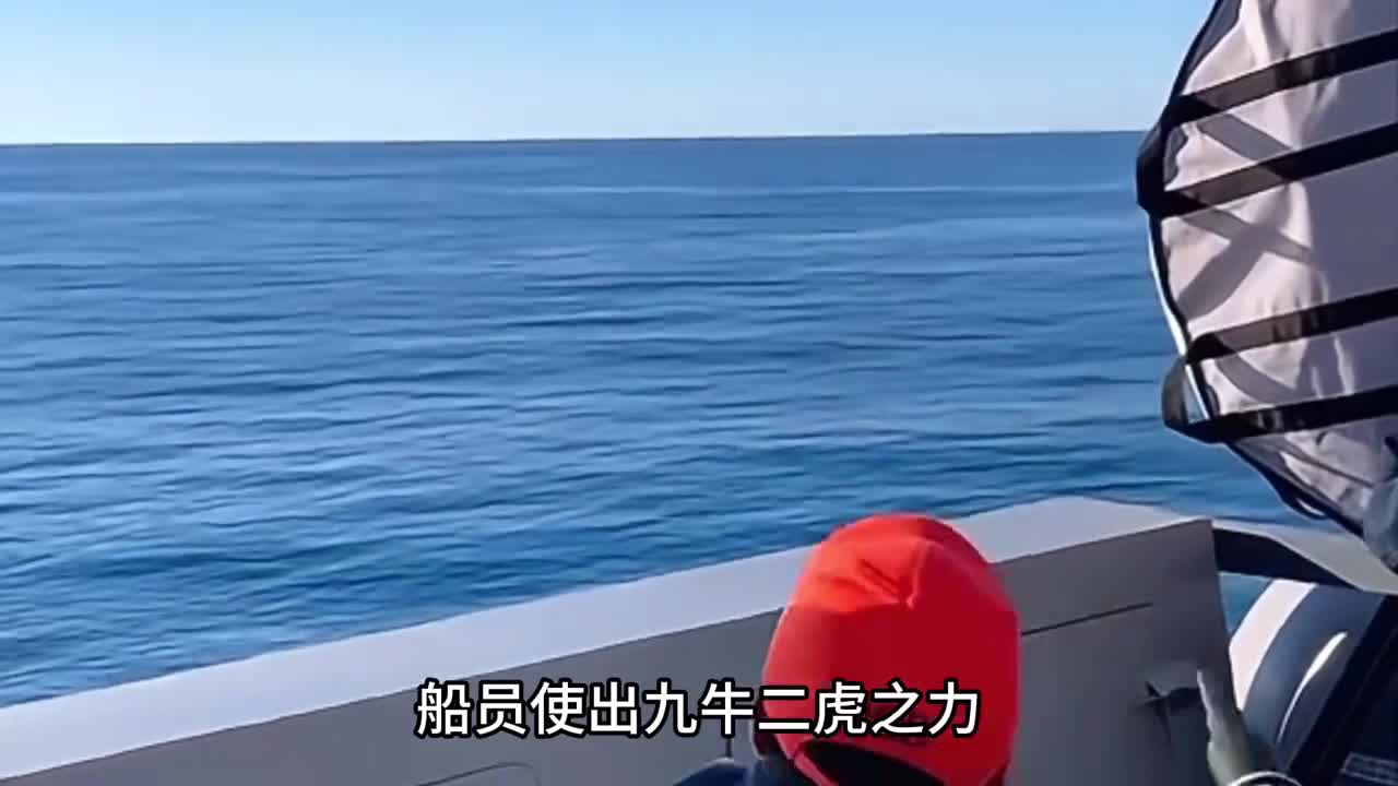 船员使用九牛二虎之力扔下一枚炸弹只为了捕捞一种怎么吃也吃不完的小公鱼