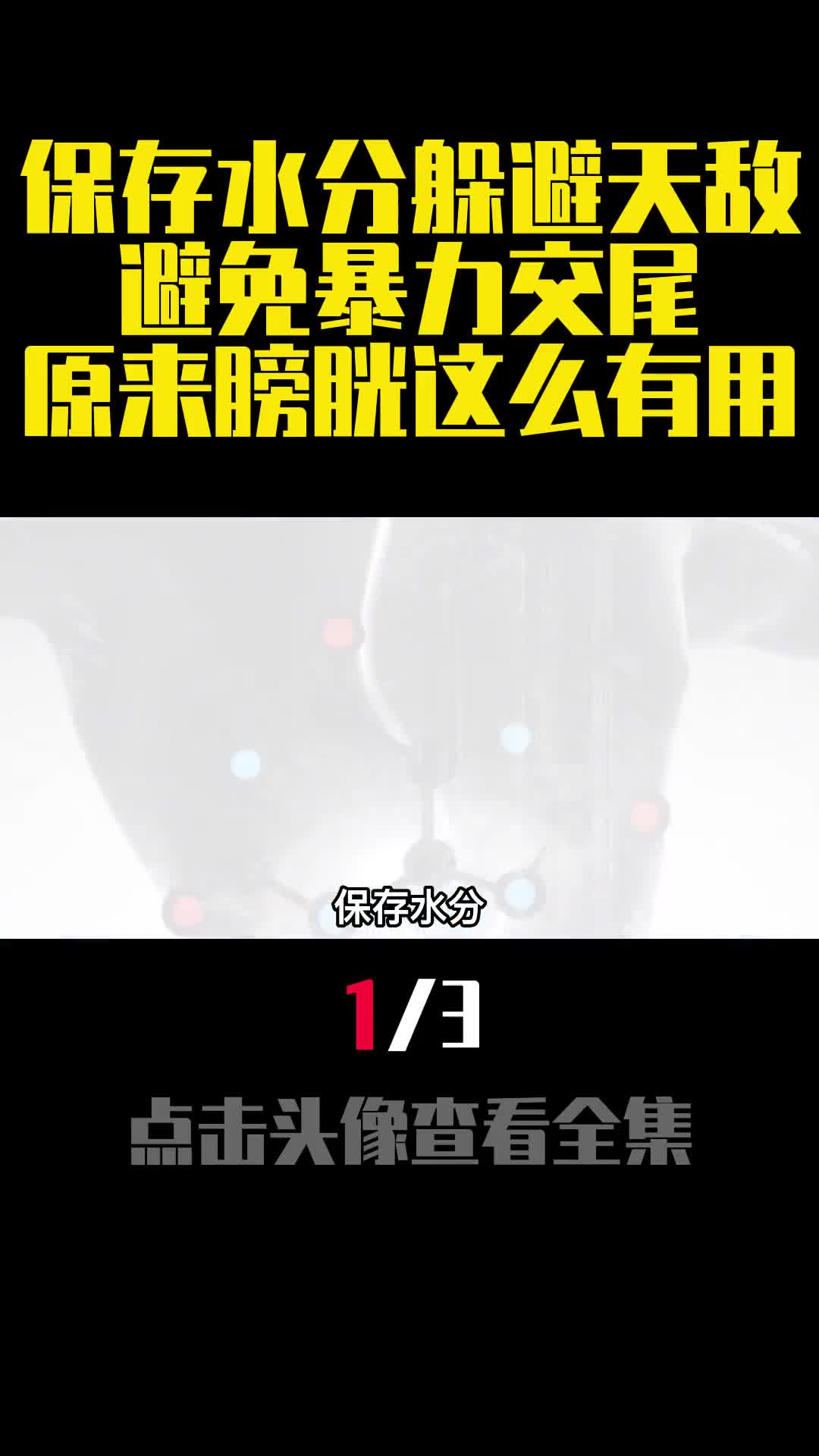 保存水分躲避天敌避免暴力交尾原来膀胱这么有用1