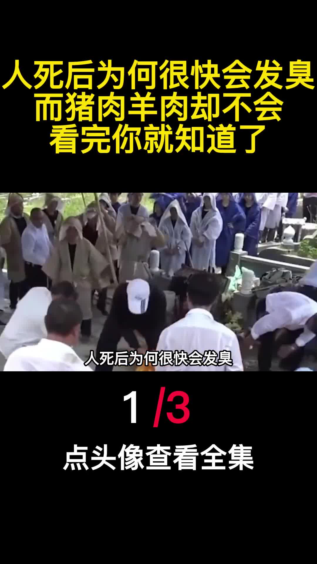 人死后为何很快会发臭而猪肉羊肉却不会看完你就知道了1