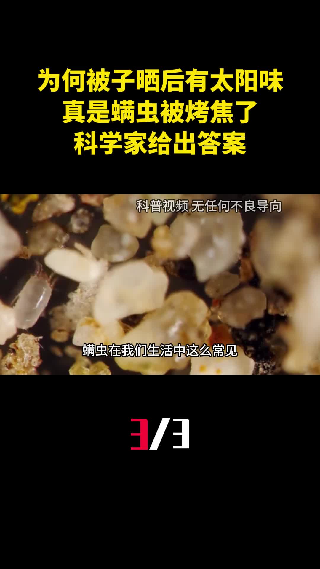 为何被子晒后有太阳味真是螨虫被烤焦了科学家给出答案3