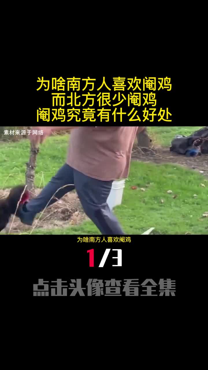 为啥南方人喜欢阉鸡而北方很少阉鸡阉鸡究竟有什么好处1