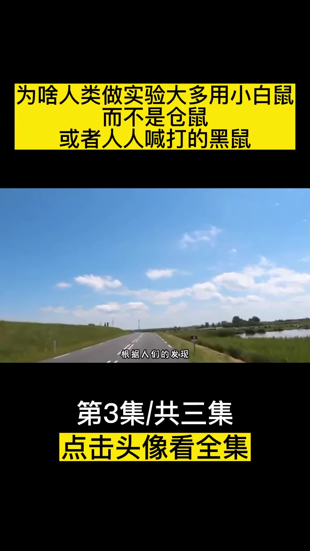 为啥人类做实验大多用小白鼠而不是仓鼠或者人人喊打的黑鼠