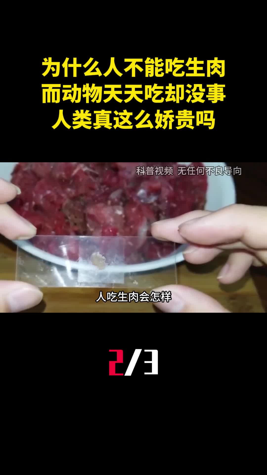 为什么人不能吃生肉而动物天天吃却没事人类真这么娇贵吗2