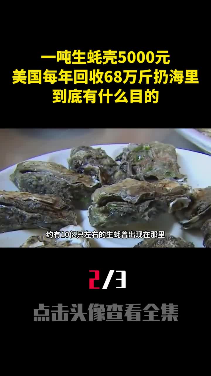 一吨生蚝壳5000元美国每年回收68万斤扔海里到底有什么目的2