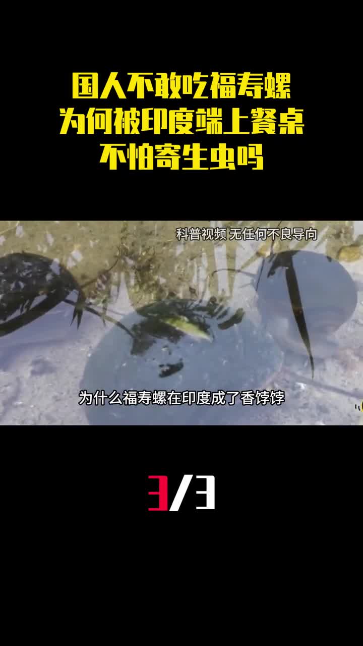 中国人不敢吃的福寿螺为何被印度端上餐桌不怕寄生虫吗3