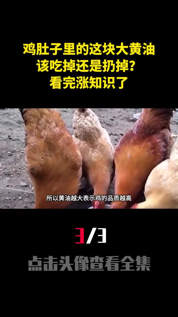 杀鸡时鸡肚子里的这块大黄油该吃掉还是扔掉看完涨知识了3
