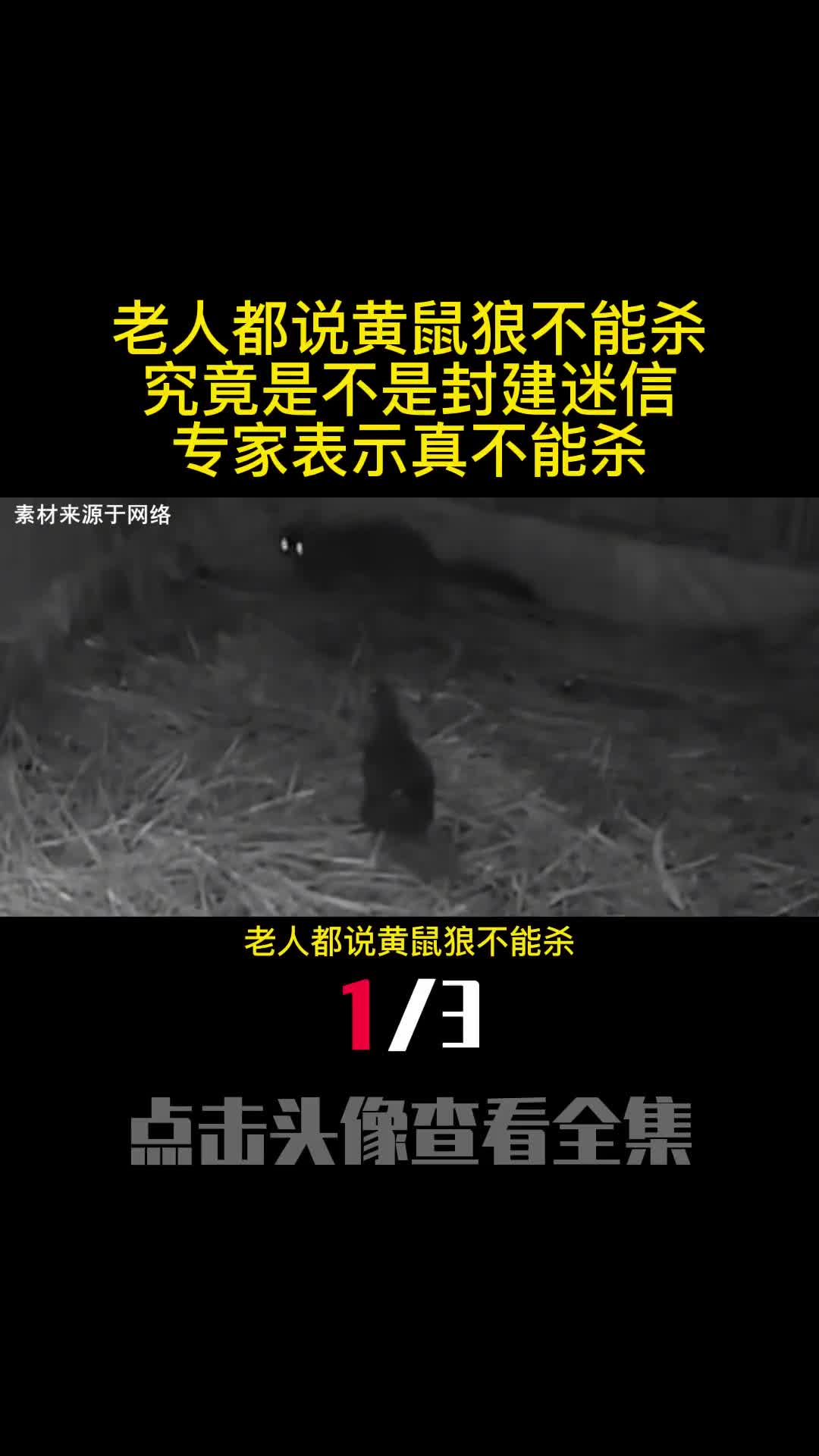老人都说黄鼠狼不能杀究竟是不是封建迷信专家表示真不能杀1