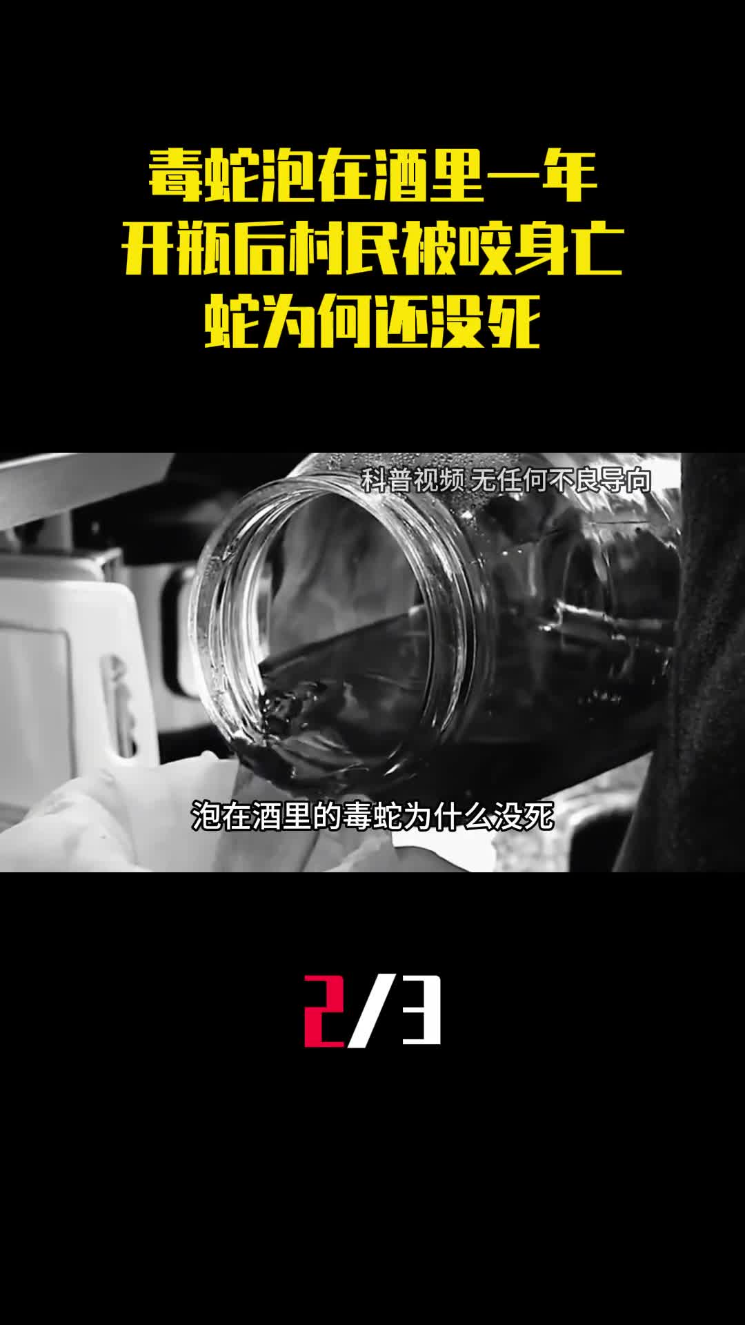 毒蛇泡在酒里一年开瓶后村民被咬身亡蛇为何还没死2