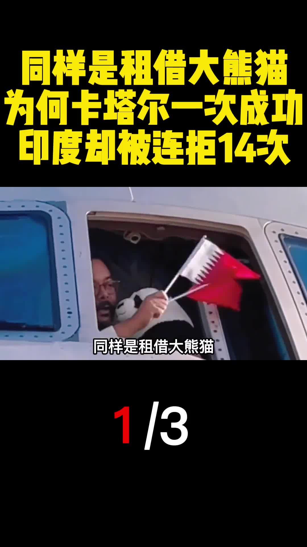 同样是租借大熊猫为何卡塔尔一次成功印度却被连拒14次1