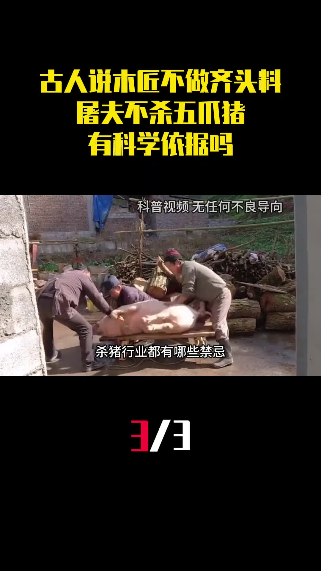 古人说木匠不做齐头料屠夫不杀五爪猪有科学依据吗3