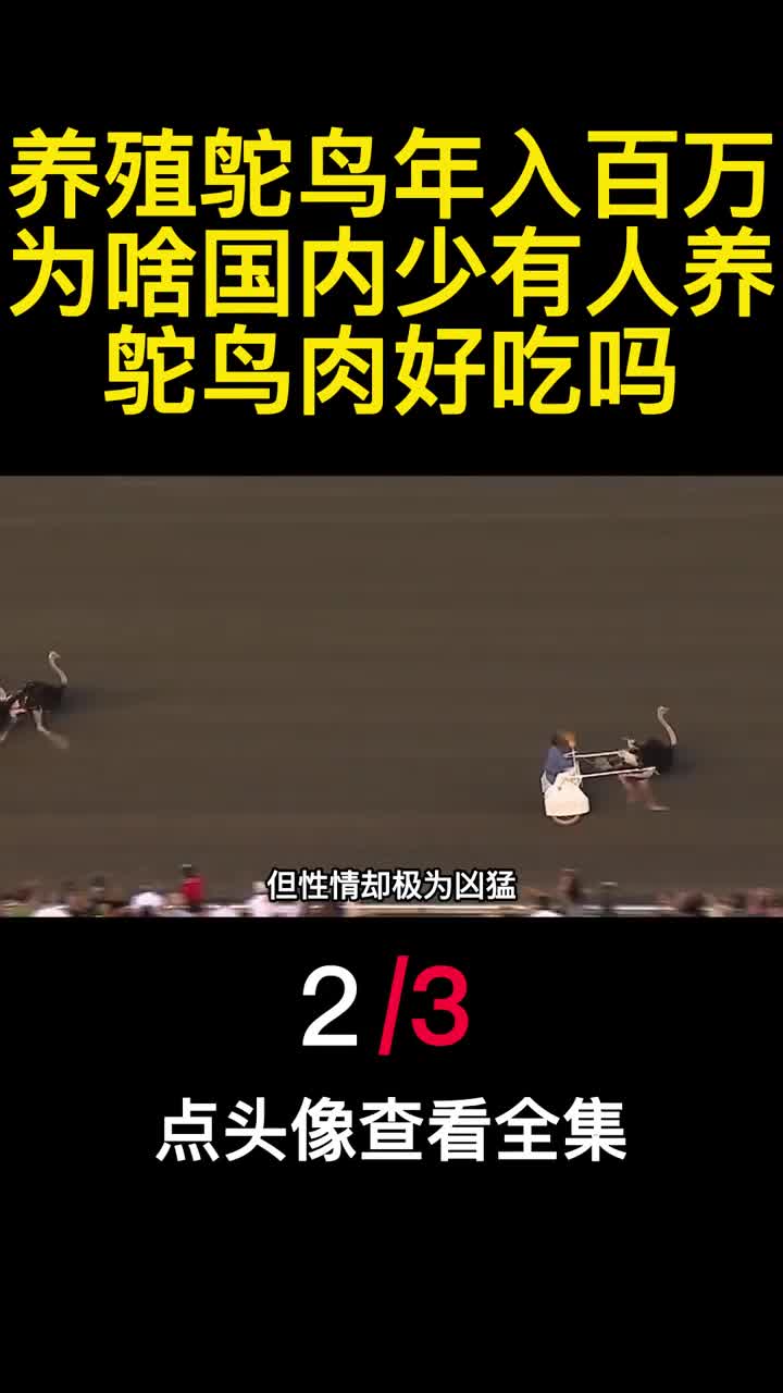 养殖鸵鸟年入百万为啥国内少有人养鸵鸟肉好吃吗2