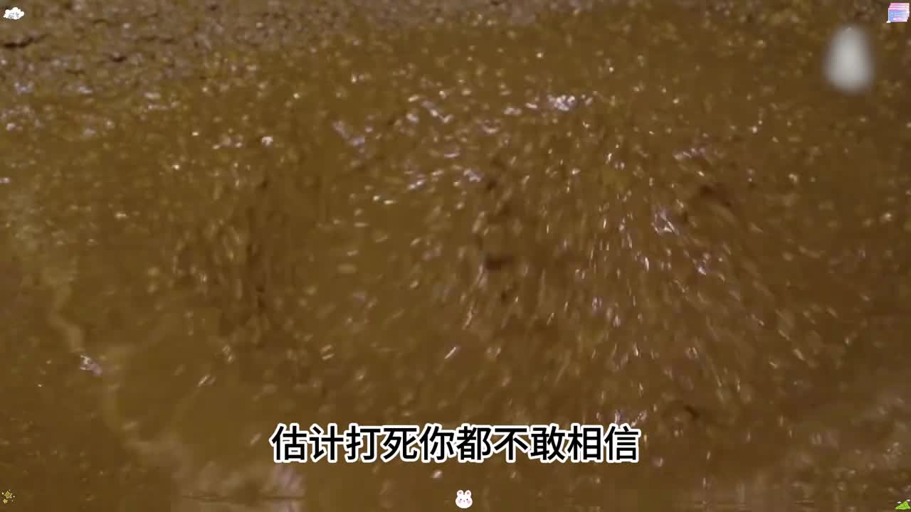 原来一瓶零添加的古法酱油是这样子制作的