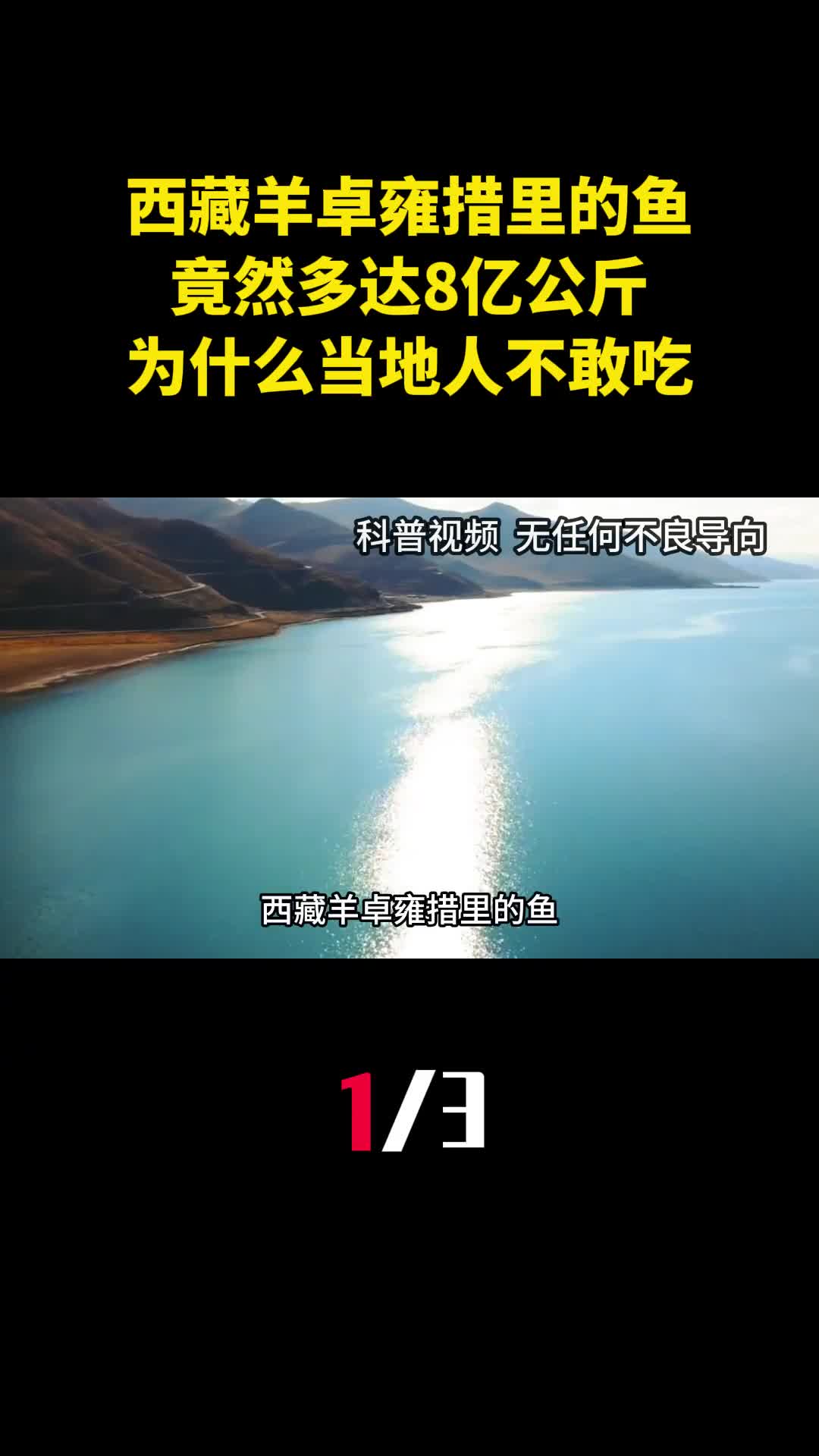 西藏羊卓雍措里的鱼竟然多达8亿公斤为什么当地人不敢吃1