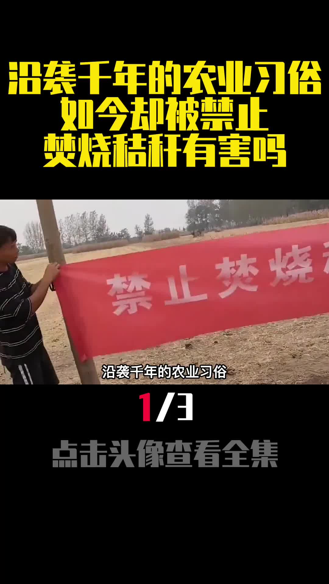 沿袭千年的农业习俗如今却被禁止焚烧秸秆有害吗1