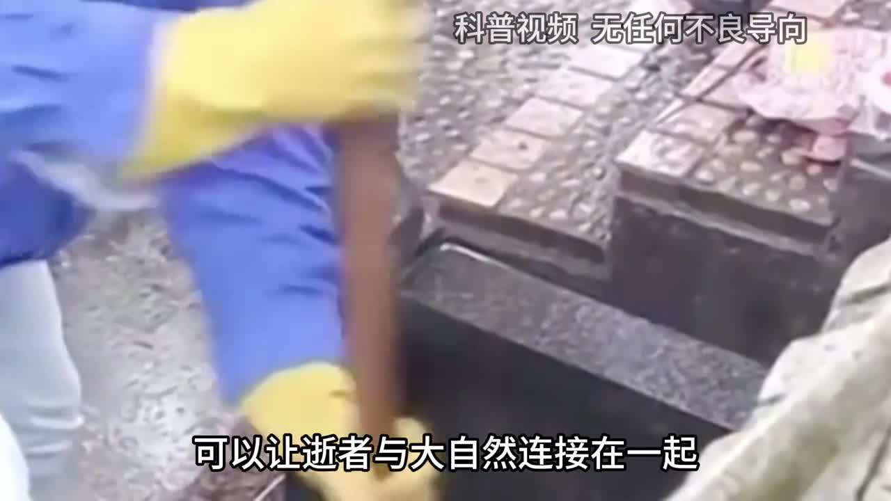 公墓只能使用20年如果到期无人愿意续费会如何处理骨灰呢3