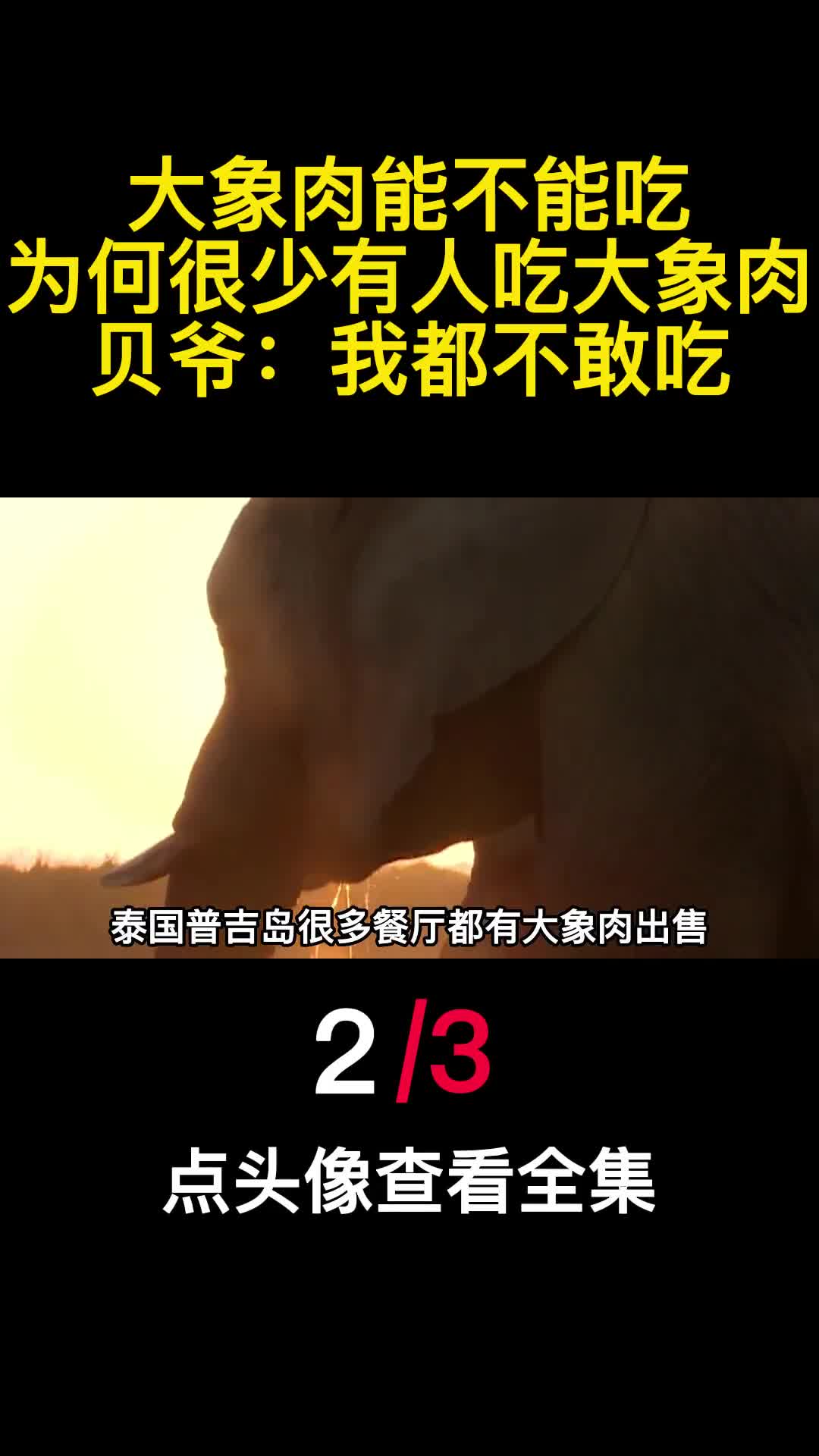 大象肉能不能吃为何很少有人吃大象肉贝爷我都不敢吃2