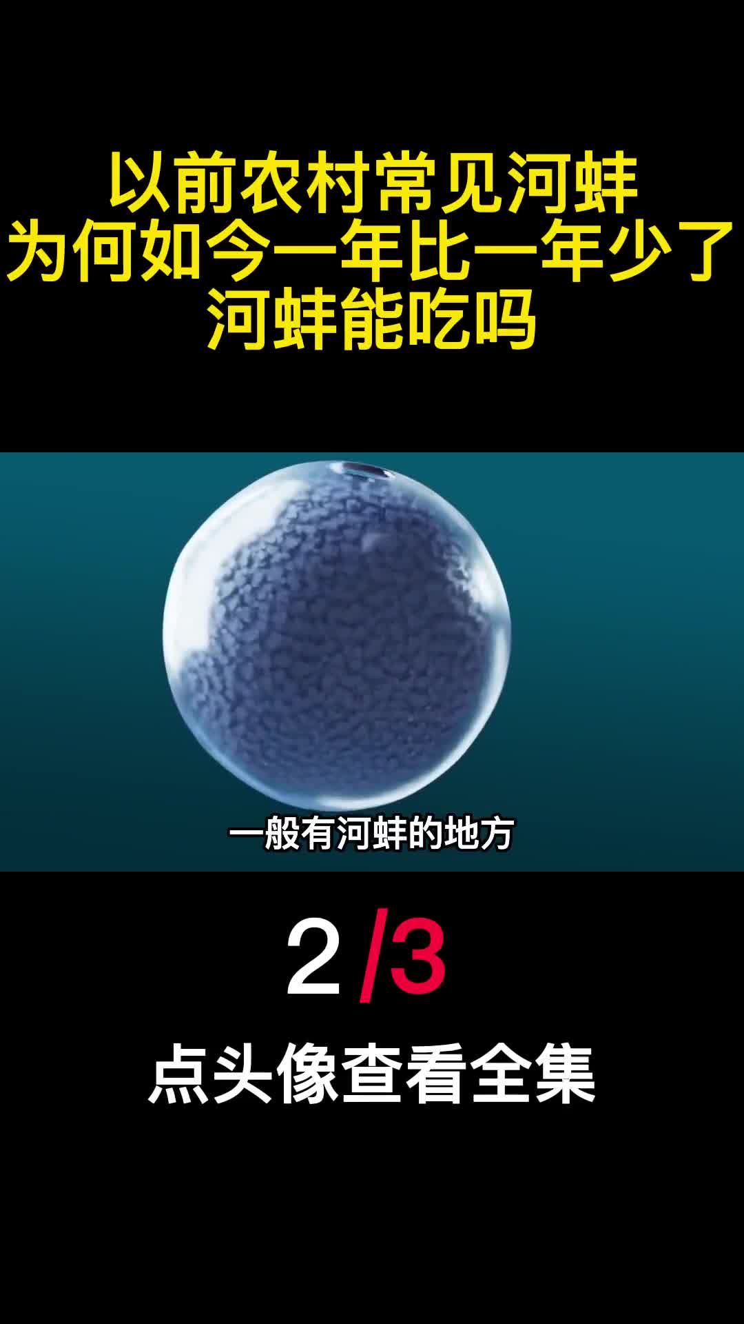 以前农村常见河蚌为何如今一年比一年少了河蚌能吃吗2