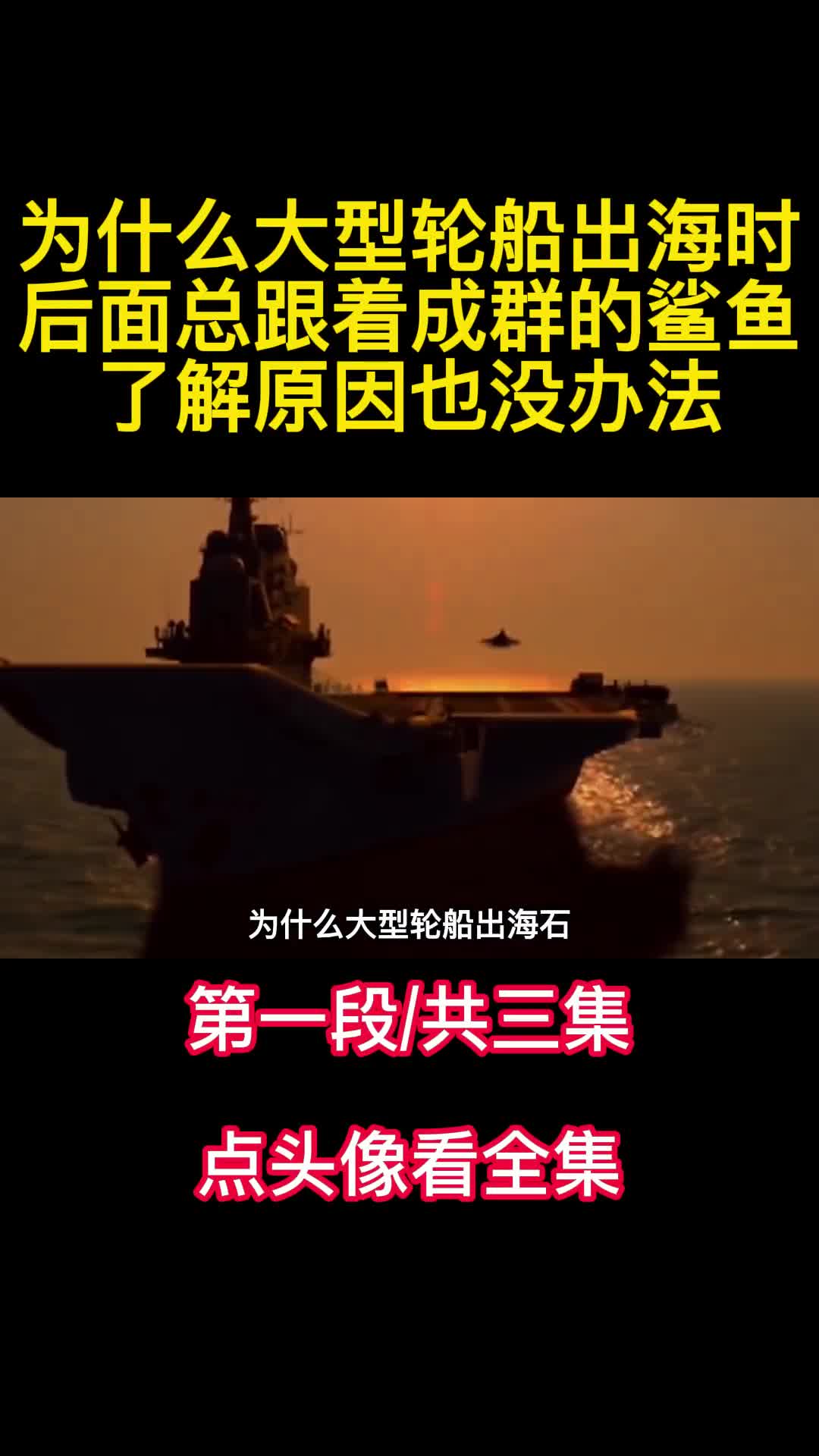 为什么大型轮船出海时后面总跟着成群的鲨鱼了解原因也没办法1