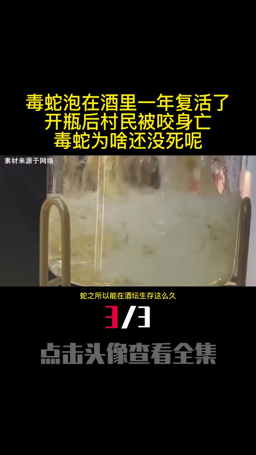 毒蛇泡在酒里一年复活了开瓶后村民被咬身亡毒蛇为啥还没死呢3