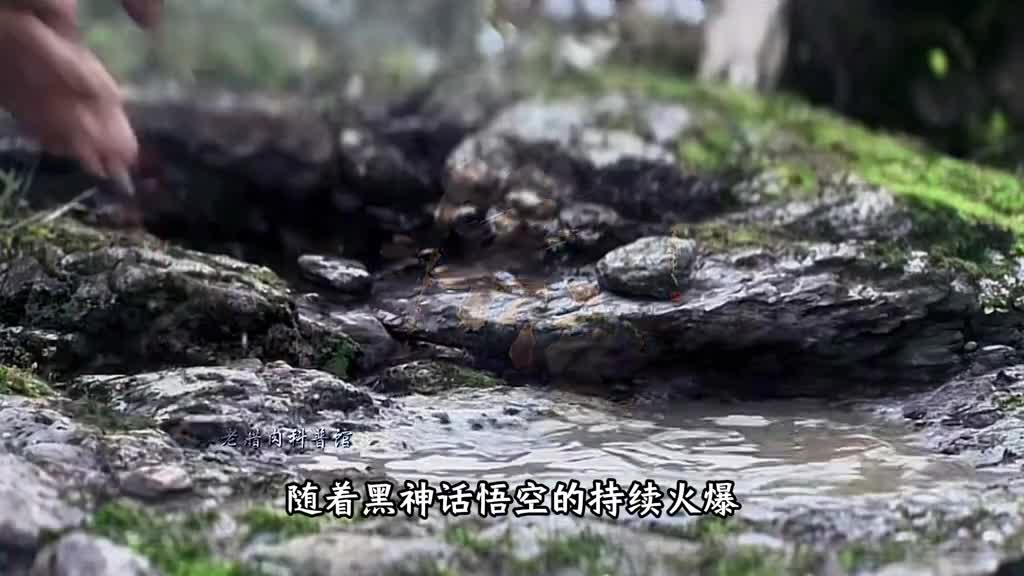 世界头号狙击手竟然是真人版黑悟空