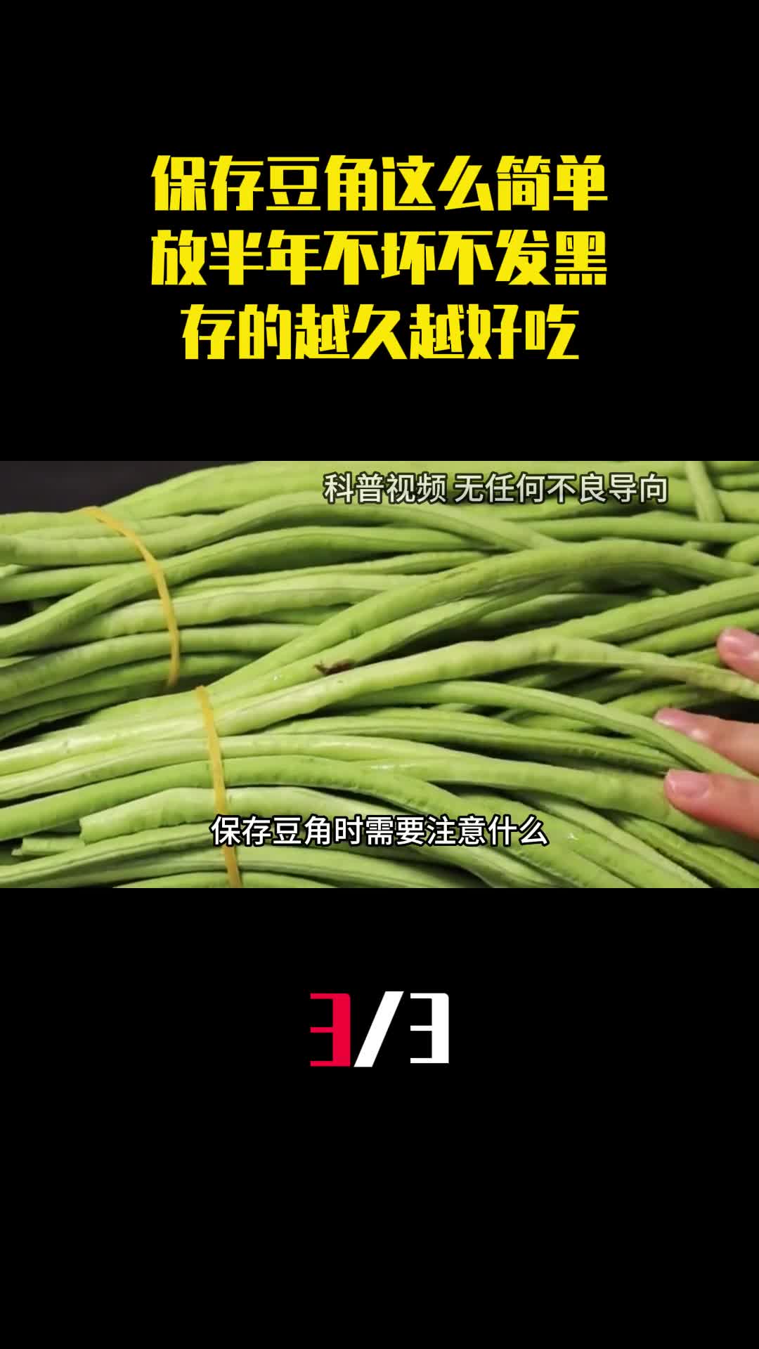 才知道保存豆角这么简单放半年不坏不发黑存的越久越好吃3