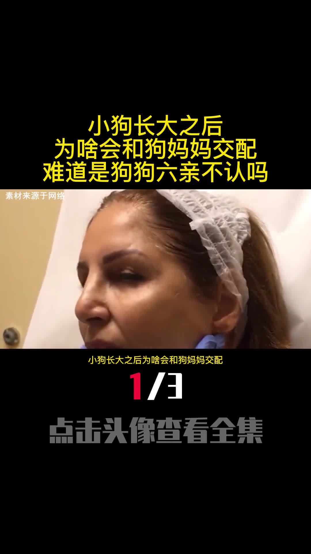 小狗长大之后为啥会和狗妈妈交配难道是狗狗六亲不认吗1