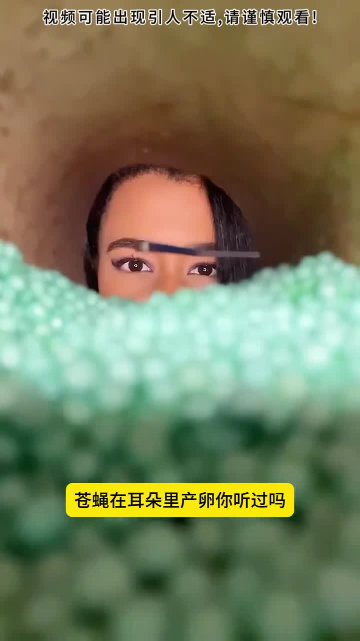 苍蝇为什么在人类耳朵里产卵