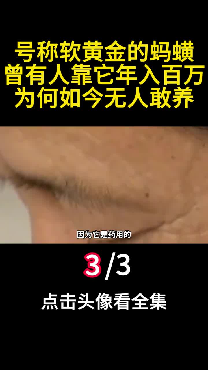 号称软黄金的蚂蟥曾有人靠它年入百万为何如今无人敢养三