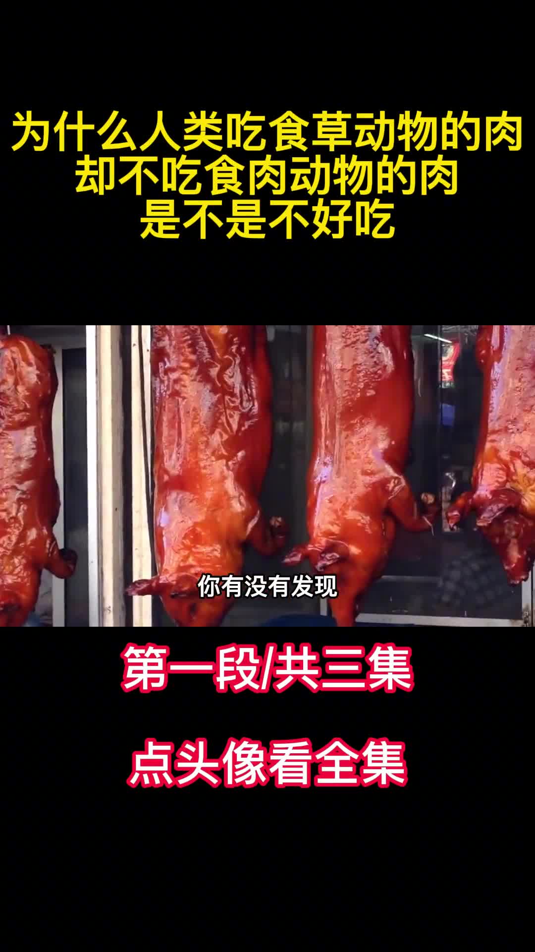 为什么人类吃食草动物的肉却不吃食肉动物的肉是不是不好吃1