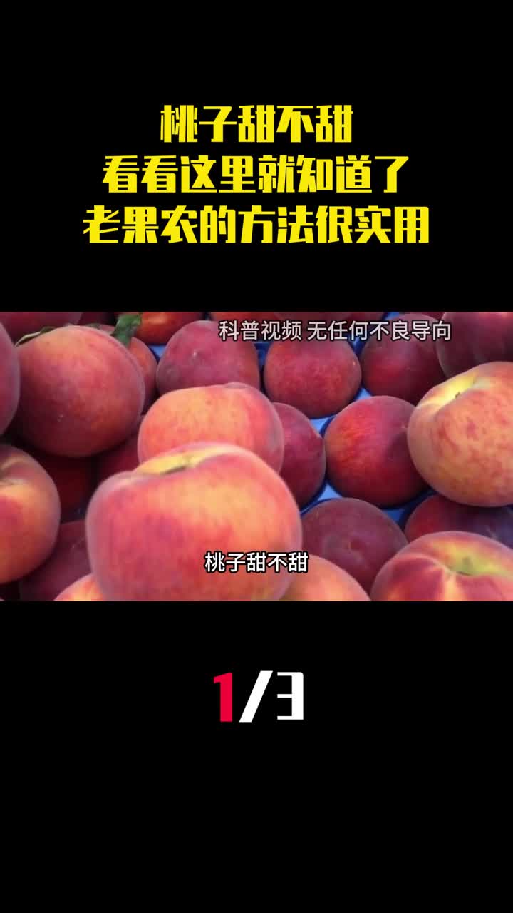 桃子甜不甜看看这里就知道了老果农的方法一挑一个准1