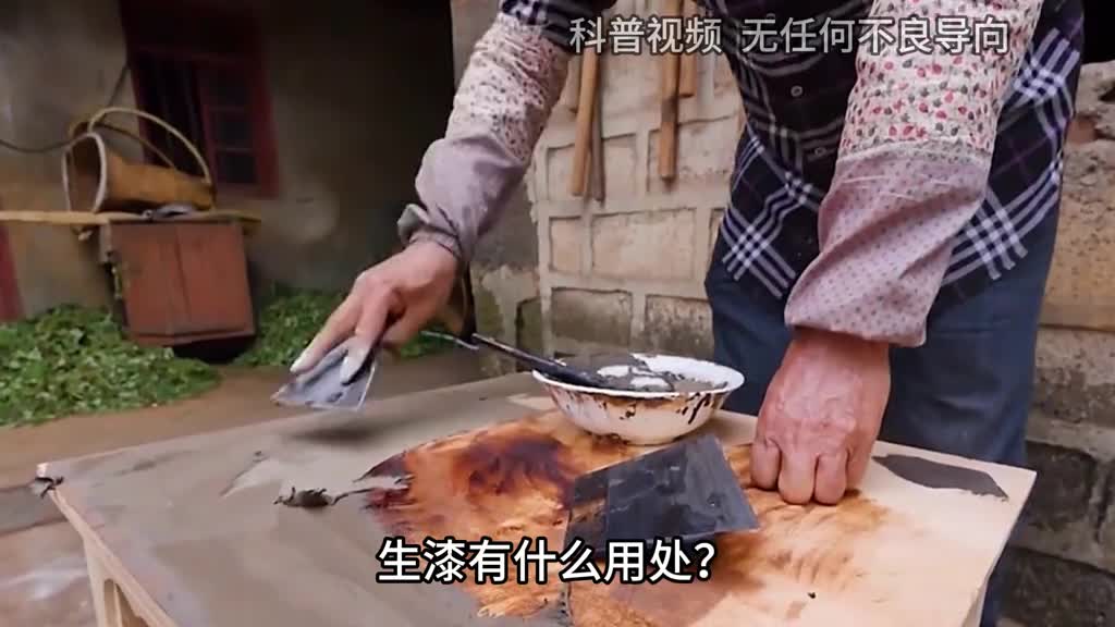 中国生漆是什么能让木头千年不腐的国漆为什么面临失传2
