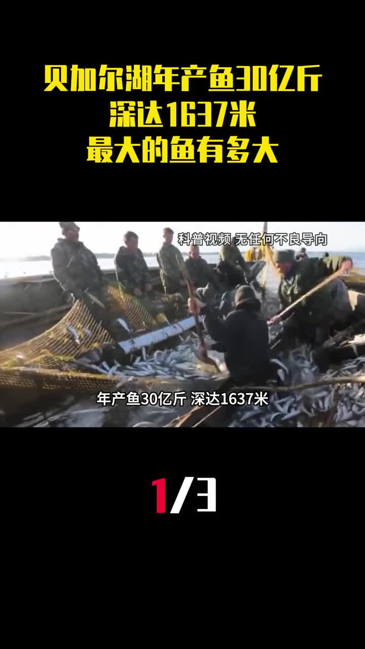 年产鱼30亿斤深达1637米贝加尔湖里最大的鱼有多大1